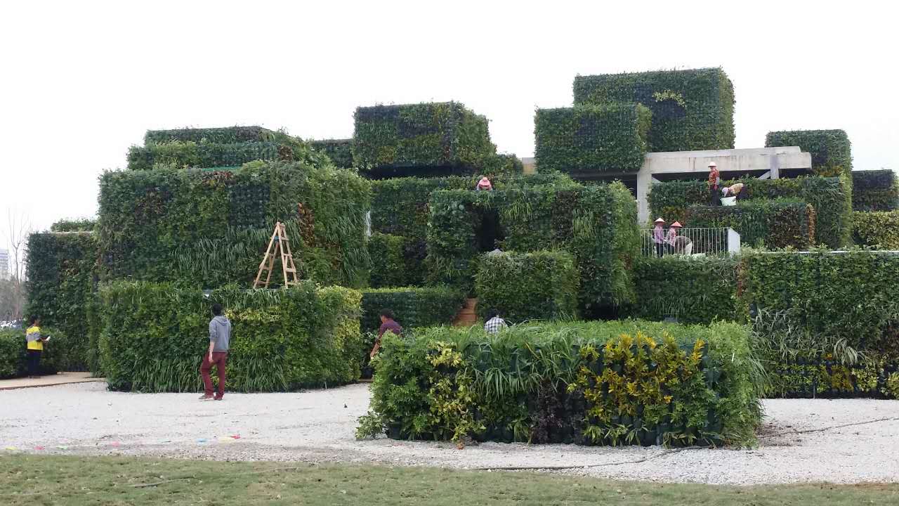 �̷��ӣ��߽�ȥ ̽�����޿���